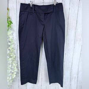 Ann Taylor Cropped Blue Khaki Pants Womens Sz 4 Lindsey Flat Front Causal Work